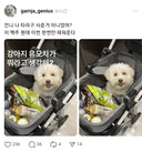 언니 나 타라고 사준 거 아니었어?