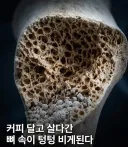 커피 달고 살다간 뼈 속이 텅텅 비게된다