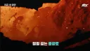 휴머노이드 로봇 폐기 현장