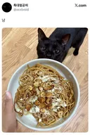 개존맛 개간단 자취파스타 레시피