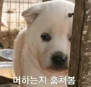 이제 패치됬으니 훈련장 횃불 버그 다 막힌건가요?