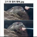고기 한 점의 행복