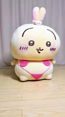 치이카와) 우사기 마이크로 비키니