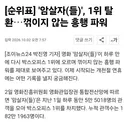 [순위표] '암살자(들)' 1위 탈환꺾이지 않는 흥행 파워