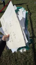 부산 락페 근황