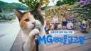 'MG새마을금고양' 청년편, 유튜브 조회수 1000만 돌파