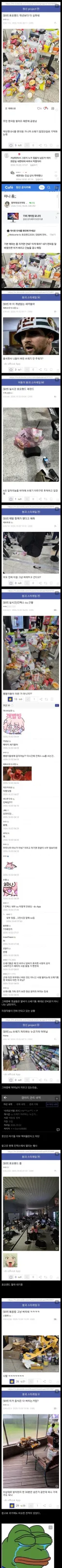 오늘 열린 호요랜드 이벤트 근황