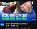 2018 평창 올림픽 수준.jpg