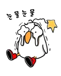 부캉이 바다가 코 앞인데 친수공원 입구에서 계속 맴도네