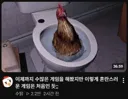 인방)수탉 게임 제목이 바뀐 EU