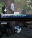 예의가 없다며 한국에 분노한 관광객
