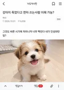 강아지 죽었다고 연차 쓰는사람 이해 가능?