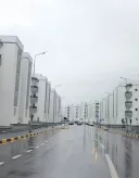 도시에 돈 들여서 가로수 설치하는 이유