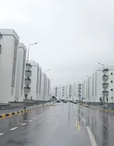 도시에 돈 들여서 가로수 설치하는 이유