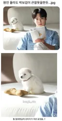 박보검 논란.