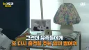 무안공항 참사 유족들의 근황