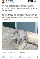 고양이들 : 으아악 미1친놈이다