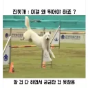 시키니까 하긴 하겠는데...