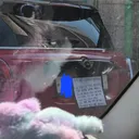 이슈가된 미니쿠페 차주 능지