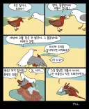 괴물을 보고 놀란 아기 갈매기