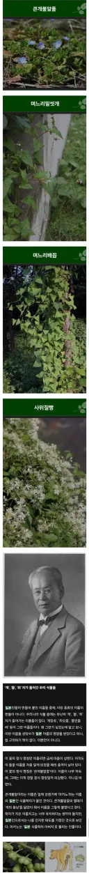 식물이름이 천박한게 많은 이유
