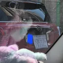 이슈가된 미니쿠페 차주 능지