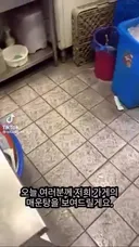 베트남인이 곰팡이가 핀 생선을 한국인에게 먹였다며 조롱
