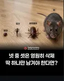 넷중에 셋은 삭제 하나는 꼭 남겨야 한다면?