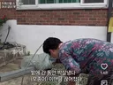 고양이를 가둔다는 할머니