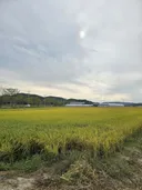 다들 왤캐 화가 나 있음 농사나 하자