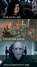 해리포터)볼드모트 수듄.....