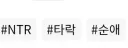 노벨피아) 의외로 순애 태그가 붙는 장르