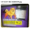 너무 효과가 좋은 동물영양제