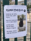 ???: 학생 여러분 고양이 보다 못하면 안되겠죠?