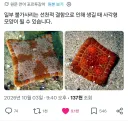 여보세요? 거기 방석이죠?