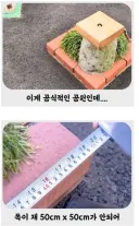 세계에서 가장 작다는 일본의 한 공원