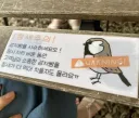 어느 감자빵 집에 붙은 참새 주의보.jpg
