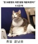 지금 일부 유게이 근황.webp