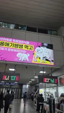 지하철 광고 어그로 뭐야이거ㅋㅋㅋ
