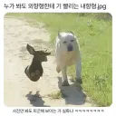 대문자 E와 I가 만났다.JPG