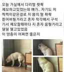 개를 벌벌 떨게 한 집사