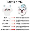 의외로 살면서 도움이 된다는 모몽가 마인드.jpg