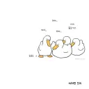 오리와 거위 구분법