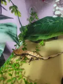청소 끗
