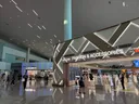 [단독] 4억어치 면세품 사고 출국 안해… 규제 대상 96%는 중국인