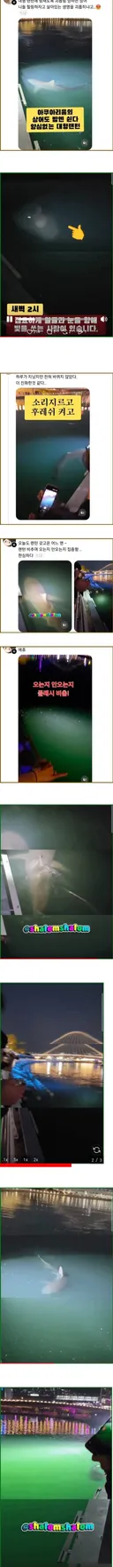 부캉이 보러간 진상들