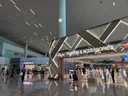4억어치 면세품 사고 출국 안해… 규제 대상 96%는 중국인