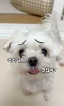 눈썹 모양의 중요성