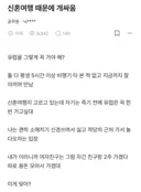 신혼여행 때문에 개싸움 유럽을 그렇게 꼭 가야 해?