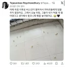 까마귀 밥을 그만둔 다음날 벌어진 일.jpg